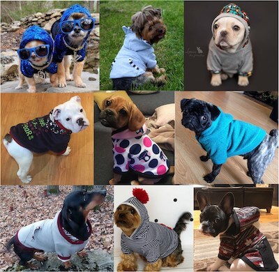 Dog Hoodie Jacket Sewing Pattern by Sofia And Friends