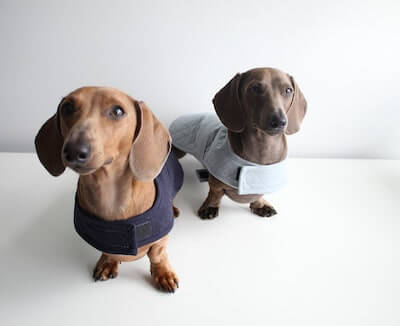Dog Jacket Pattern by Art East Quilting Co