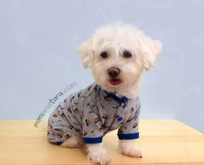 Dog Pajamas Pattern by Mimi And Tara Store