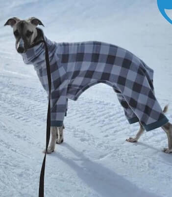 Dog Pajamas Sewing Pattern by Hey Dog Patterns