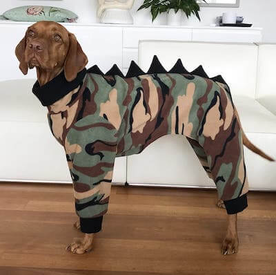 Dog Vizsla Dinosaur Pajamas Pattern by Fancy Pet Patts