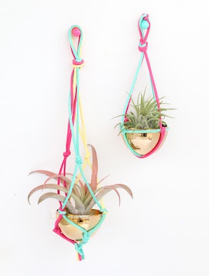 Macrame Air Plant Hanger by A Kailo Chic Life