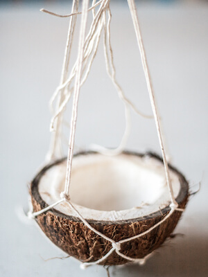 Macrame Coconut Bird Feeder by Fanny Zanotti