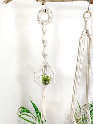 Colgador de plantas de aire con cuenco de vidrio de macramé de Crafted By Ceri