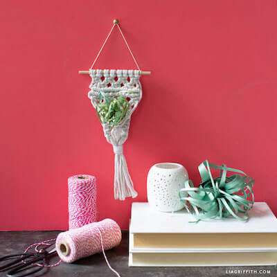 Mini Macrame Air Plant Holder de Lia Griffith