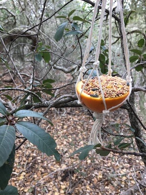 Simple Macrame Orange Bird Feeder by Blue Corduroy