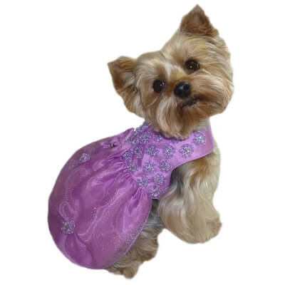Princess Dog Dress Sewing Pattern by SofiaandFriends