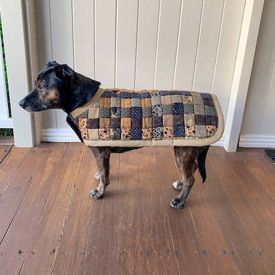 Patrón de abrigo de perro Benji de Pauline's Quilters World