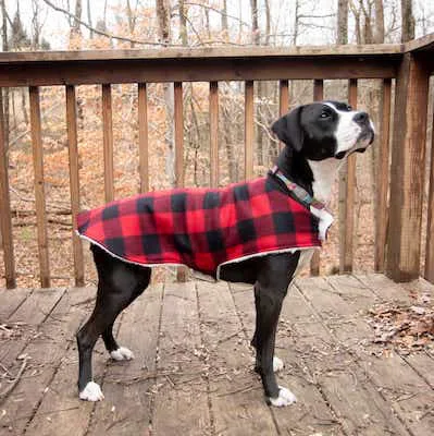 Cozy Dog Coat Pattern by Wholefully