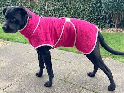Dog Coat Bathrobe Pattern by Hundsstern