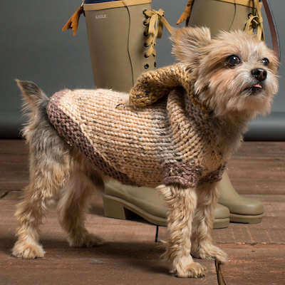 Knit Hoodie Dog Coat Pattern by Yarnspirations