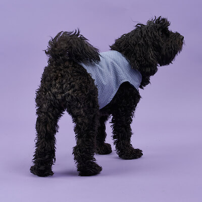 Patrón de costura de abrigo de perro Poppy de Sew Over It