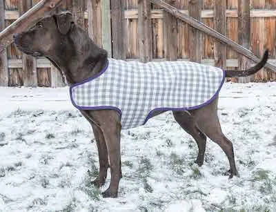 Reversible Dog Coat Pattern by Professor Pincushion