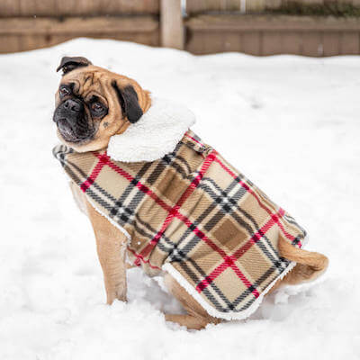 Patrón de abrigo impermeable para perros de la tienda de telas en línea