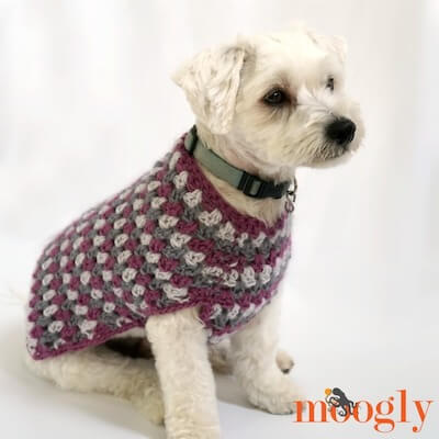 Patrón de abrigo de perro bien vestido de Moogly
