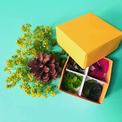 Origami Box For Nature Collections by Barley & Birch