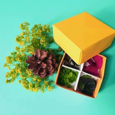 Colecciones Origami Box For Nature de Barley & Birch