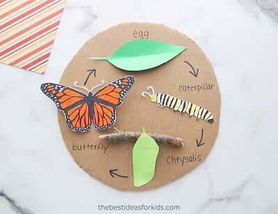 Butterfly Life Cycle Craft by The Best Ideas For Kids