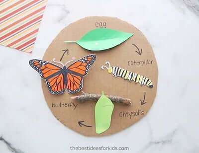 Manualidad del ciclo de vida de la mariposa por The Best Ideas For Kids