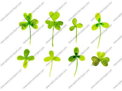 Lucky Clovers And Shamrocks Clip Art by My Watercolor Clipart
