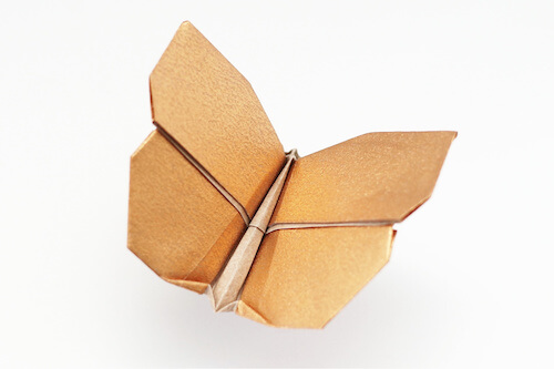 Butterfly Origami by Jo Nakashima