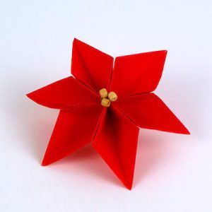 Origami Poinsettia Tutorial by Planet June