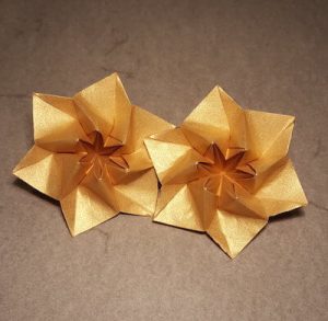 Origami Starblossom Tutorial by Xander Perrott
