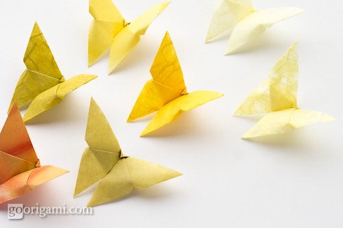 Origami Butterfly Tutorial by Go Origami