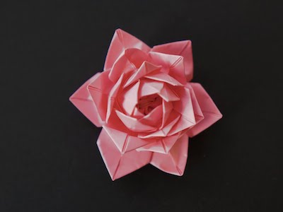 Origami Rose Fácil de Origami Princess